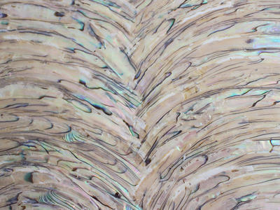 Pure Natural Shell Material Superthin Abalone Shell Paper