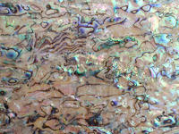 Natural Delicate Superthin Abalone Shell Paper