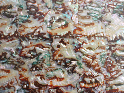 Fashionable Superthin Abalone Shell Paper For Sale